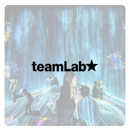 teamLab Logo Colour